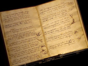 Da Vinci Sketchbook